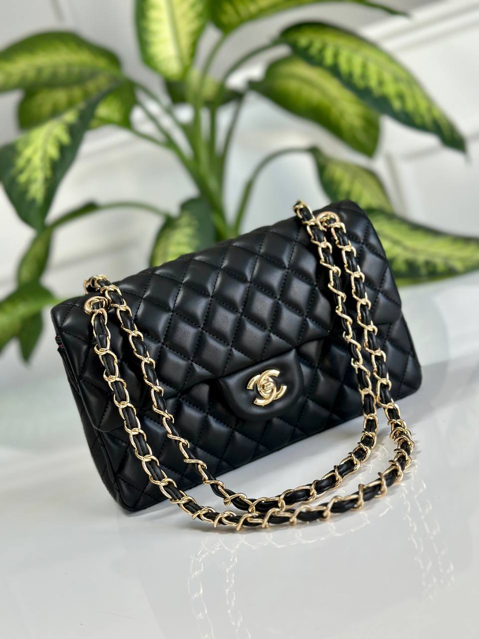 Bag & Belt